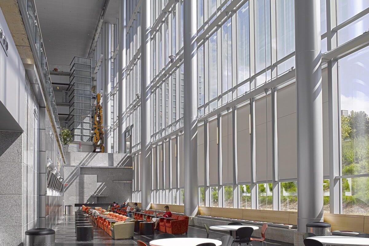 Windows Shades & Blinds Mecho Shades Roller Shades