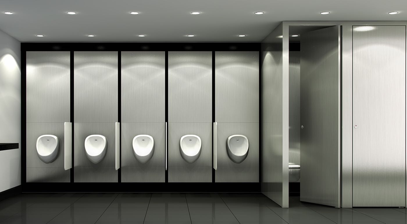 Thrislington Urinal and Toilet partitions